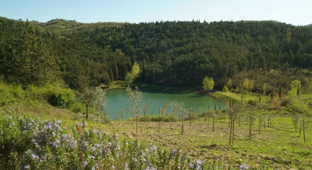 Коттедж с 2 комнатами с видом на озеро Agriturismo Vinci