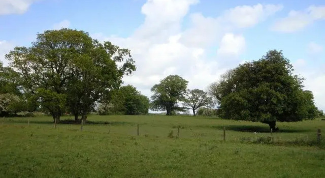 St Anne's Bed & Breakfast, Prenota Hotel Hotel a Connacht con parcheggio, Parcheggio