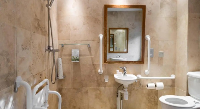 Двухместный номер Standard Woodford Bridge Country Club