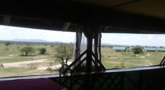 Zebra Kemang'ore Bush Tented Lodge