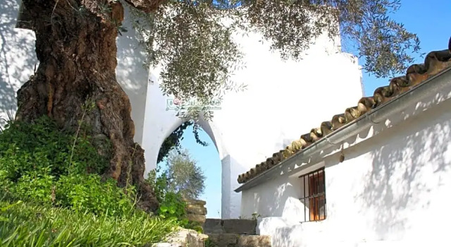 Вилла Hotel del Carmen