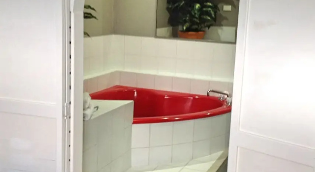 Номер Deluxe Avlon Gardens Motel
