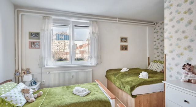Апартаменты Apartman U Medvidku