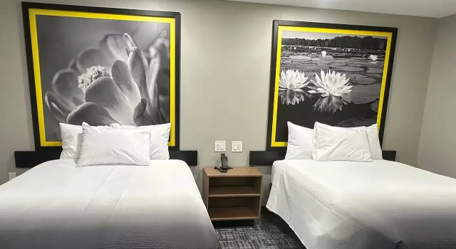 Super 8 BY Wyndham Lubbock Airport, Prenota Hotel Lubbock Texas