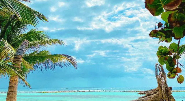 Eco Cabañas BlueKay, Rezervovat Hotel Mahahual 