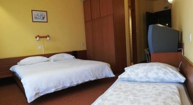 Трёхместный номер Classic с балконом и с видом на горы Hotel Trojane