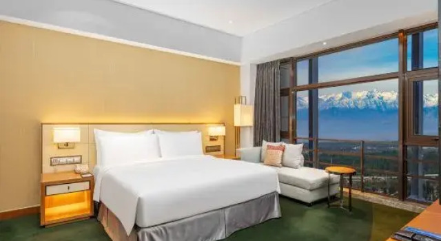 Капсула Executive Radisson Blu Hotel Kashgar