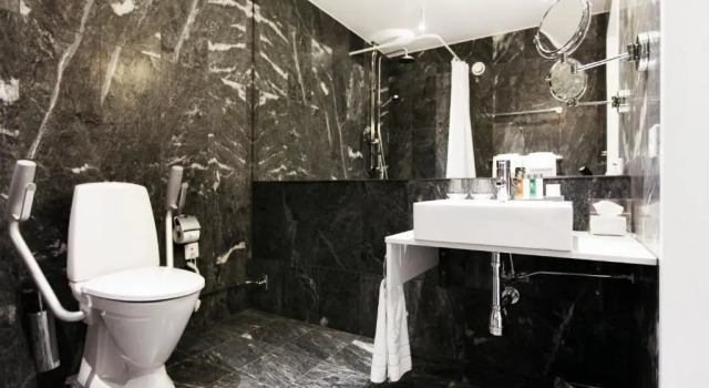 Двухместный номер Deluxe с видом на море Elite Plaza Örnsköldsvik