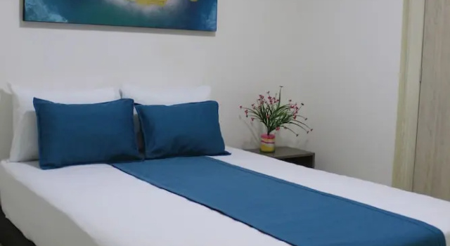 Двухместный номер Standard Hotel Pereira 421