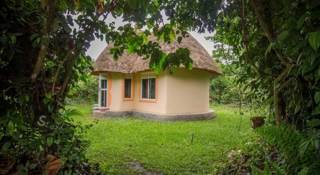 Бунгало Roots Retreat and Camping Resort