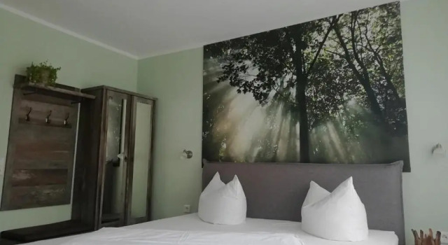 Camera singola Standard Hotel Wandersleben - Erfurt