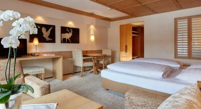 Полулюкс с видом на горы Hotel Auriga