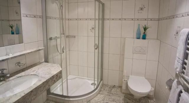 Люкс Hotel Brunella