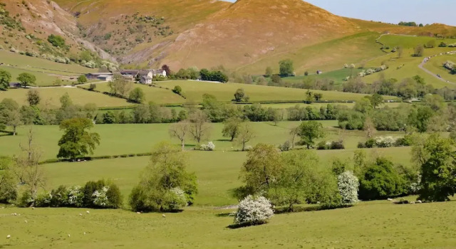 Căsuță Milldale