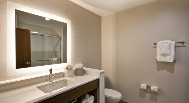 Двухместный номер Standard Holiday Inn Express & Suites - Houston NASA - Boardwalk Area by IHG