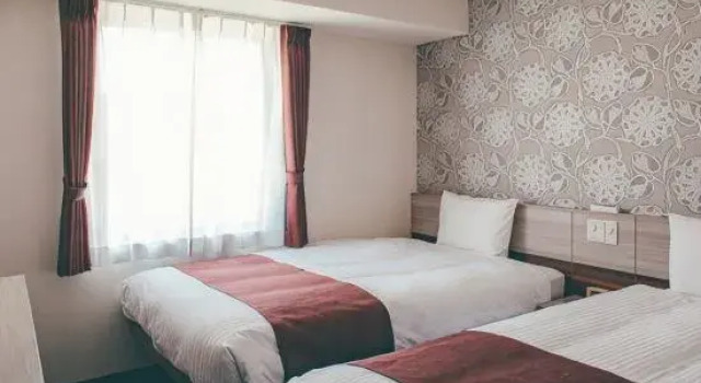 Двухместный номер Standard Kuretake Inn Premium Shizuoka Annex