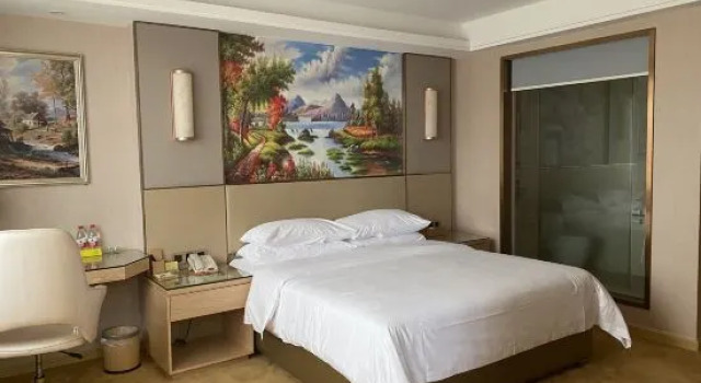 Люкс Superior Vienna International Hotel(Puning High Speed Railway Station Store)