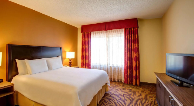 Двухместный люкс c 1 комнатой Hilton Garden Inn Tampa Ybor Historic District