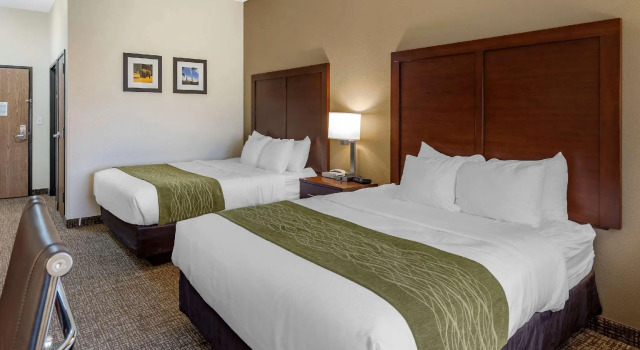 Четырёхместный номер Standard Comfort Inn & Suites Greenville I-70