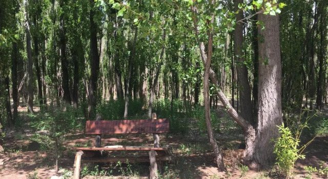 Бунгало Bosque De Sol