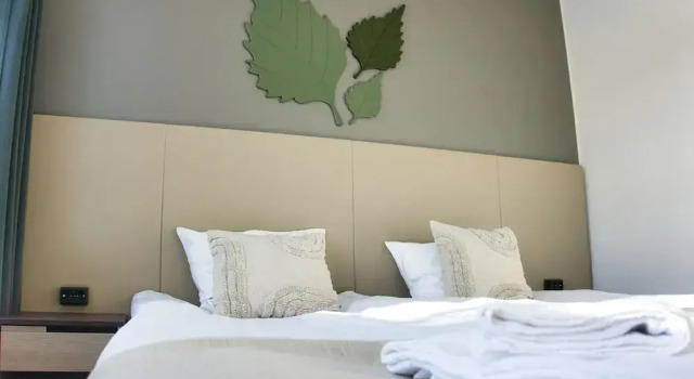 Номер Standard Hotelli Savonlinna