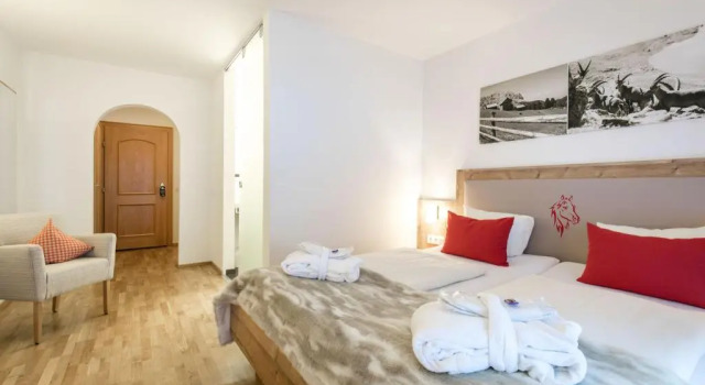 Номер Standard Alpenlodge - Das Dorfhotel