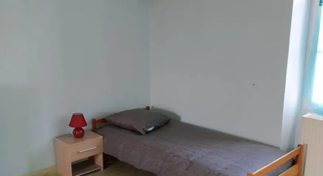 Номер Standard Loctodon