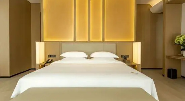 Люкс Deluxe Jinxi Preferred Hotel (Linhe Government Store)