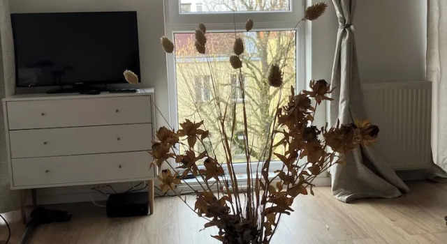 Апартаменты Soul Apartment In The Center