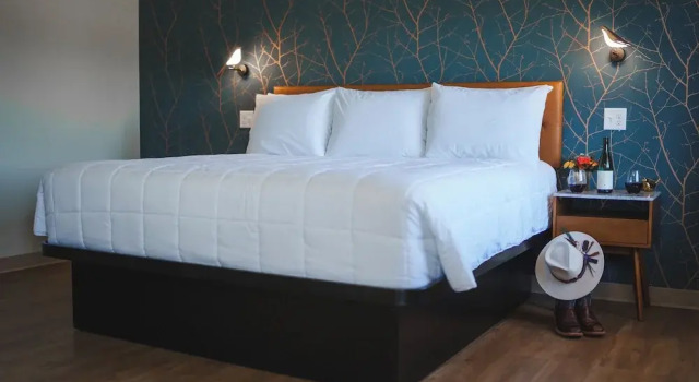 Номер Deluxe City Center Motel