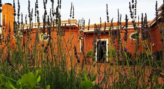 Villa Adalbert Guesthouse, Prenota Villa Hotel a Western Cape. con parcheggio, Parcheggio