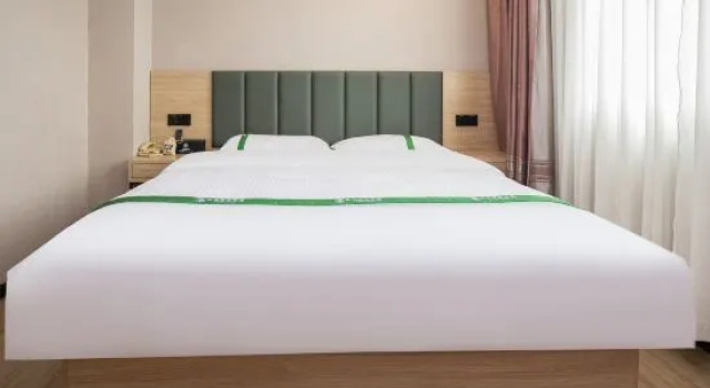 Люкс GreenTree Inn AnHui WuHu WuWei ChaoWu XiMen Express Hotel