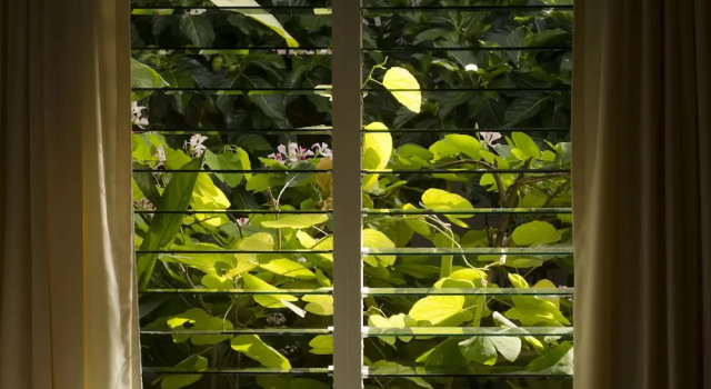 Executive Vierer Suite mit Gartenblick Suites Ejecutivas Los Arcos