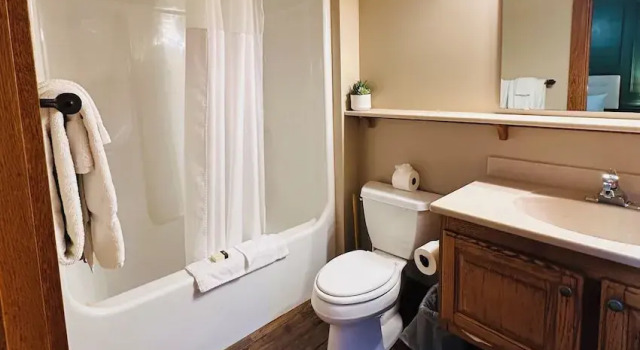Двухместный номер Standard с видом на бассейн Nantahala Village