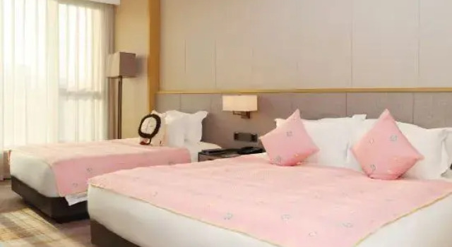 Семейный люкс Deluxe Jinyun Jingjiang International Hotel