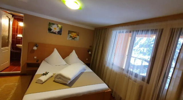 Двухместный номер Standard с балконом Complex Turistic Caprioara