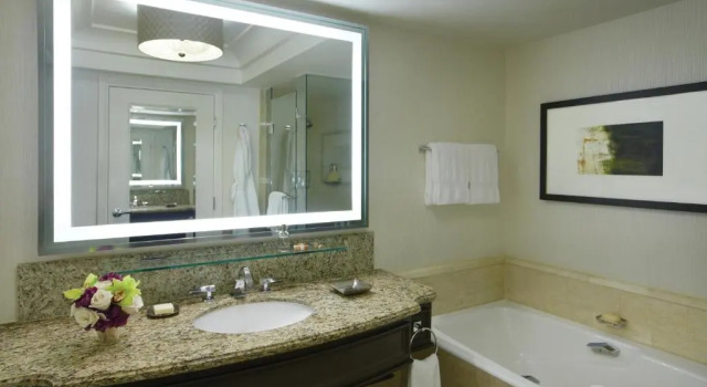 Двухместный номер Superior Four Seasons Hotel Las Vegas