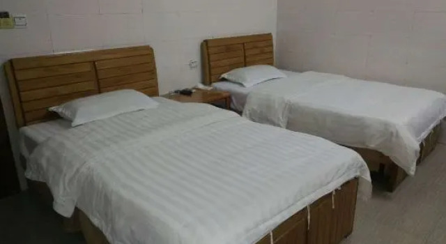 Двухместный номер Standard City Hotel Seiunso