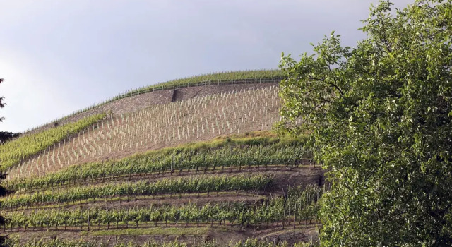 Номер Standard с балконом Weingut Sonnenberg