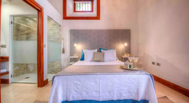 Номер Standard Delmás Hotel Emblemático