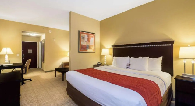 Люкс Comfort Inn and Suites Maingate South Davenport