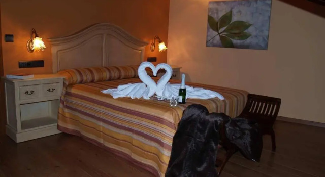 Номер Superior Hotel Valle del Silencio