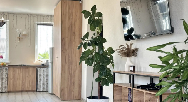 Dom Kateriny u morya, Book Vacation Home Zaostrovye 