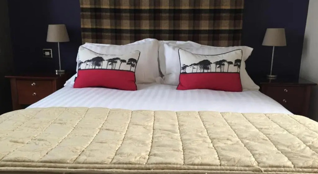 Двухместный номер Standard Forest Hotel