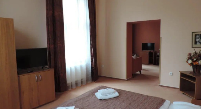 Hotel Hron