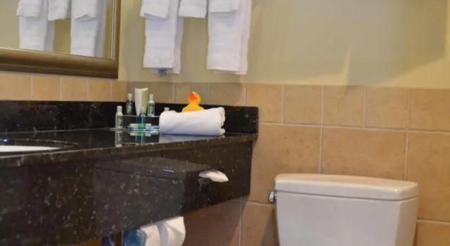 Номер Standard Best Western PLUS Vineyard Inn and Suites