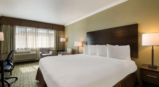 Двухместный номер Standard Best Western Holiday Hotel