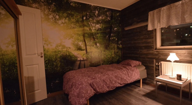 Номер Standard Nordic Borealis House