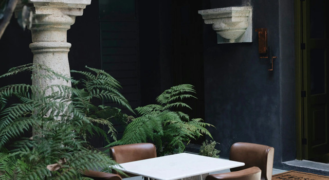Pug Seal Oaxaca, Book Hotel Centro Oaxaca