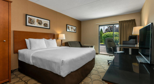 Номер Standard Clarion Pointe